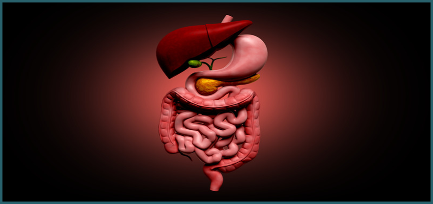 Gastrointestinal-Diseases